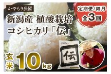 【令和6年産米】【定期便3回隔月お届け】新潟産コシヒカリ「伝」真空パック 玄米10kg（5kg×2） 南麻布の高級料亭で提供される極上米 かやもり農園