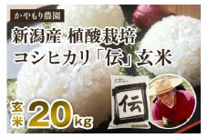 【令和6年産米】新潟産コシヒカリ「伝」真空パック 玄米20kg（5kg×4） 南麻布の高級料亭で提供される極上米 かやもり農園