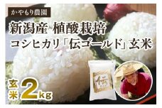 【令和6年産米】新潟産コシヒカリ「伝ゴールド」真空パック 玄米2kg 南麻布の高級料亭で提供される極上米 かやもり農園