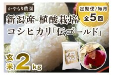 【令和6年産米】【定期便5ヶ月毎月お届け】新潟産コシヒカリ「伝ゴールド」真空パック 玄米2kg 南麻布の高級料亭で提供される極上米 かやもり農園