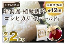 【令和6年産米】【定期便12ヶ月毎月お届け】新潟産コシヒカリ「伝ゴールド」真空パック 玄米2kg 南麻布の高級料亭で提供される極上米 かやもり農園
