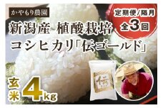 【令和6年産米】【定期便3回隔月お届け】新潟産コシヒカリ「伝ゴールド」真空パック 玄米4kg（2kg×2） 南麻布の高級料亭で提供される極上米 かやもり農園