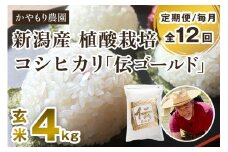 【令和6年産米】【定期便12ヶ月毎月お届け】新潟産コシヒカリ「伝ゴールド」真空パック 玄米4kg（2kg×2） 南麻布の高級料亭で提供される極上米 かやもり農園
