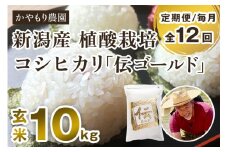 【令和6年産米】【定期便12ヶ月毎月お届け】新潟産コシヒカリ「伝ゴールド」真空パック 玄米10kg（2kg×5） 南麻布の高級料亭で提供される極上米 かやもり農園