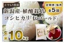 【令和6年産米】【定期便5ヶ月毎月お届け】新潟産コシヒカリ「伝ゴールド」真空パック 玄米10kg（2kg×5） 南麻布の高級料亭で提供される極上米 かやもり農園