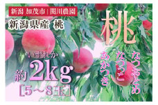 【2025年先行予約】新潟県産 桃 約2㎏（5～8玉）《7月下旬以降発送》もも ピーチ 果物 フルーツギフト 夏の味覚 加茂市 関川農園