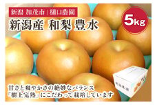 【2025年先行予約】和梨 豊水 5kg（9～14玉）《9月上旬から順次発送》果物 なし ほうすい 梨 フルーツ 新鮮 ジューシー 産地 加茂市 樋口農園