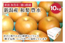 和梨 豊水 10kg（18～28玉）《9月上旬から順次発送》果物 なし ほうすい 梨 フルーツ 新鮮 ジューシー 産地 加茂市 樋口農園