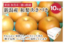 和梨 あきづき 10kg（16～28玉）《9月中旬から順次発送》果物 なし 梨 フルーツ 新鮮 ジューシー 産地 加茂市 樋口農園