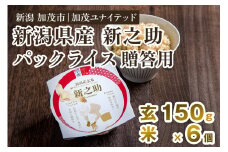 【贈答用】新潟県産 新之助 玄米パックライス（150g×6個入） 新潟産米 自宅で簡単 パックごはん 時短 贈り物にも ブランド米 加茂市 加茂ユナイテッド