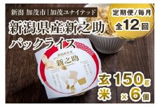 【定期便12ヶ月毎月お届け】新潟県産 新之助 玄米パックライス（150g×6個入） 新潟産米 自宅で簡単 パックごはん 時短 贈り物にも ブランド米 加茂市 加茂ユナイテッド