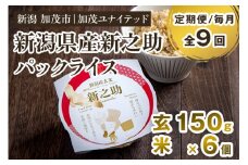 【定期便9ヶ月毎月お届け】新潟県産 新之助 玄米パックライス（150g×6個入） 新潟産米 自宅で簡単 パックごはん 時短 贈り物にも ブランド米 加茂市 加茂ユナイテッド