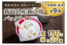 【定期便9ヶ月毎月お届け】新潟県産 新之助 玄米パックライス（150g×20個入） 新潟産米 自宅で簡単 パックごはん 時短 贈り物にも ブランド米 加茂市 加茂ユナイテッド