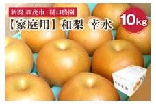 【家庭用】和梨 幸水 10kg（20～32玉）《8月中旬から順次発送》果物 なし こうすい 梨 フルーツ 新鮮 ジューシー 産地 加茂市 樋口農園
