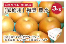 【家庭用】和梨 豊水 3kg（6～8玉）《9月上旬から順次発送》果物 なし ほうすい 梨 フルーツ 新鮮 ジューシー 産地 加茂市 樋口農園