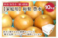 【家庭用】和梨 豊水 10kg（18～28玉）《9月上旬から順次発送》果物 なし ほうすい 梨 フルーツ 新鮮 ジューシー 産地 加茂市 樋口農園