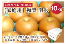 【家庭用】和梨 南水 10kg（20～28玉）《9月中旬から順次発送》果物 なんすい なし 梨 フルーツ 新鮮 ジューシー 産地 加茂市 樋口農園