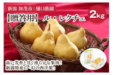 【贈答用】西洋梨 ル・レクチェ 2kg（5～7玉）《11月下旬から順次発送》果物 梨 洋梨 西洋梨 フルーツ 冬の味覚 デザート 産地直送 加茂市 樋口農園