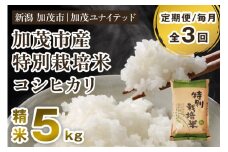 【令和6年産米】【定期便3ヶ月毎月お届け】加茂市産 特別栽培米 コシヒカリ 精米5kg 栽培期間中は化学肥料・農薬不使用 新潟米 お米 白米 こしひかり 加茂ユナイテッド