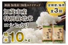 【令和7年産新米】【定期便3ヶ月毎月お届け】加茂市産 特別栽培米 コシヒカリ 精米10kg 《10月中旬～順次出荷》 栽培期間中は化学肥料・農薬不使用 新潟米 お米 白米 こしひかり 加茂ユナイテッド