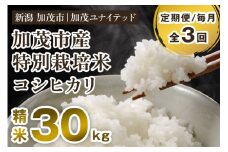 【令和6年産米】【定期便3ヶ月毎月お届け】加茂市産 特別栽培米 コシヒカリ 精米30kg（10kg×3袋） 栽培期間中は化学肥料・農薬不使用 新潟米 お米 白米 こしひかり 加茂ユナイテッド