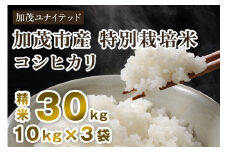 【令和6年産米】加茂市産 特別栽培米 コシヒカリ 精米30kg（10kg×3袋） 栽培期間中は化学肥料・農薬不使用 新潟米 お米 白米 こしひかり 加茂ユナイテッド