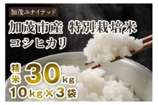 【令和7年産新米】加茂市産 特別栽培米 コシヒカリ 精米30kg（10kg×3袋）《10月中旬～順次出荷》 栽培期間中は化学肥料・農薬不使用 新潟米 お米 白米 こしひかり 加茂ユナイテッド