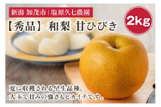 【2025年先行予約】新潟県産 和梨 甘ひびき 2kg 【秀品】《7月下旬から順次出荷》 あまひびき なし 果物 フルーツ デザート ジューシー シャキシャキ  加茂市 塩原久七農園
