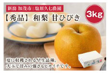 【2025年先行予約】新潟県産 和梨 甘ひびき 3kg 【秀品】《7月下旬から順次出荷》 あまひびき なし 果物 フルーツ デザート ジューシー シャキシャキ  加茂市 塩原久七農園
