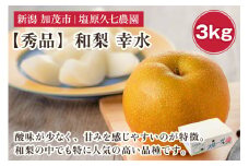 【2025年先行予約】新潟県産 和梨 幸水 3kg 【秀品】《8月中旬から順次出荷》 こうすい なし 果物 フルーツ デザート ジューシー シャキシャキ  加茂市 塩原久七農園