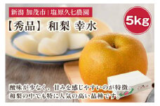 【2025年先行予約】新潟県産 和梨 幸水 5kg 【秀品】《8月中旬から順次出荷》 こうすい なし 果物 フルーツ デザート ジューシー シャキシャキ  加茂市 塩原久七農園