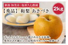 【2025年先行予約】新潟県産 和梨 あきづき 2kg 【秀品】《9月中旬から順次出荷》  なし 果物 フルーツ デザート ジューシー シャキシャキ  加茂市 塩原久七農園