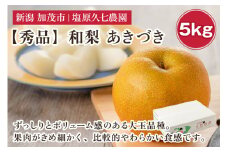 【2025年先行予約】新潟県産 和梨 あきづき 5kg 【秀品】《9月中旬から順次出荷》  なし 果物 フルーツ デザート ジューシー シャキシャキ  加茂市 塩原久七農園