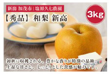 【2025年先行予約】新潟県産 和梨 新高 3kg 【秀品】《10月上旬から順次出荷》 にいたか なし 果物 フルーツ デザート ジューシー シャキシャキ  加茂市 塩原久七農園