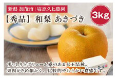 【2025年先行予約】新潟県産 和梨 あきづき 3kg 【秀品】《9月中旬から順次出荷》  なし 果物 フルーツ デザート ジューシー シャキシャキ  加茂市 塩原久七農園