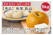【2025年先行予約】新潟県産 和梨 新高 5kg 【秀品】《10月上旬から順次出荷》 にいたか なし 果物 フルーツ デザート ジューシー シャキシャキ  加茂市 塩原久七農園