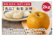 【2025年先行予約】新潟県産 和梨 新興 2kg 【秀品】《10月下旬から順次出荷》 しんこう なし 果物 フルーツ デザート ジューシー シャキシャキ  加茂市 塩原久七農園