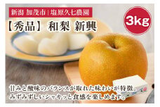 【2025年先行予約】新潟県産 和梨 新興 3kg 【秀品】《10月下旬から順次出荷》 しんこう なし 果物 フルーツ デザート ジューシー シャキシャキ  加茂市 塩原久七農園