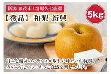 【2025年先行予約】新潟県産 和梨 新興 5kg 【秀品】《10月下旬から順次出荷》 しんこう なし 果物 フルーツ デザート ジューシー シャキシャキ  加茂市 塩原久七農園