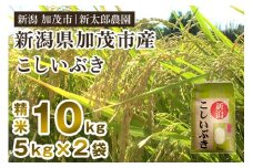 【令和7年産新米先行予約】新潟県加茂市産こしいぶき 精米10kg（5kg×2袋） 《9月上旬から順次出荷》 コシイブキ お米 ライス ごはん ご飯 新潟米 新潟産 加茂市産 新太郎農園