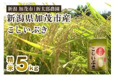 【令和7年産新米】新潟県加茂市産こしいぶき 精米5kg（5kg×1袋） 《順次出荷》 コシイブキ お米 ライス ごはん ご飯 新潟米 新潟産 加茂市産 新太郎農園