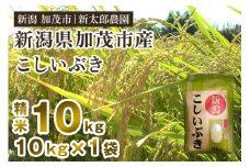 【令和7年産新米先行予約】新潟県加茂市産こしいぶき 精米10kg（10kg×1袋） 《9月上旬から順次出荷》 コシイブキ お米 ライス ごはん ご飯 新潟米 新潟産 加茂市産 新太郎農園