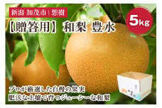 【2025年先行予約】【贈答用】新潟県産和梨 豊水 約5㎏（8〜16玉） 《8月下旬から順次発送》梨 なし ナシ 豊水 ほうすい  果物 果樹 フルーツ 樹上完熟 加茂果樹専門家集団 加茂市 想樹
