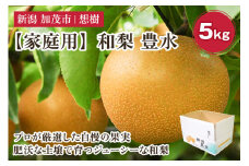 【2025年先行予約】【家庭用】新潟県産和梨 豊水 約5㎏（8〜16玉） 《8月下旬から順次発送》梨 なし ナシ 豊水 ほうすい  果物 果樹 フルーツ 樹上完熟 加茂果樹専門家集団 加茂市 想樹
