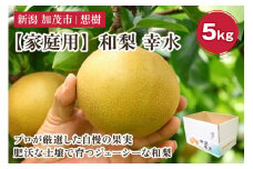 【2025年先行予約】【家庭用】新潟県産和梨 幸水 約5㎏（10〜16玉） 《8月下旬から順次発送》梨 なし ナシ 幸水 こうすい  果物 果樹 フルーツ 樹上完熟 加茂果樹専門家集団 加茂市 想樹