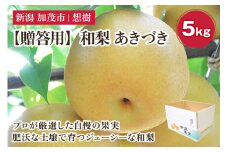 【2025年先行予約】【贈答用】新潟県産和梨 あきづき 約5㎏（7〜14玉） 《9月中旬から順次発送》梨 なし ナシ あきづき  果物 果樹 フルーツ 樹上完熟 加茂果樹専門家集団 加茂市 想樹