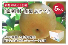 【2025年先行予約】【家庭用】新潟県産和梨 あきづき 約5㎏（7〜14玉） 《9月中旬から順次発送》梨 なし ナシ あきづき  果物 果樹 フルーツ 樹上完熟 加茂果樹専門家集団 加茂市 想樹