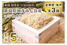 【令和7年産新米先行予約】【定期便3ヶ月毎月お届け】新潟県加茂市 七谷産コシヒカリ 玄米5kg 《10月中旬～順次発送》 新潟産コシヒカリ 豊かな山水で育った天水米 加茂市 YAGOROU ヤゴロウ