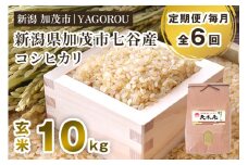 【令和7年産新米先行予約】【定期便6ヶ月毎月お届け】新潟県加茂市 七谷産コシヒカリ 玄米10kg 《10月中旬～順次発送》 新潟産コシヒカリ 豊かな山水で育った天水米 加茂市 YAGOROU ヤゴロウ