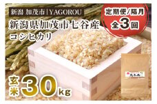 【令和7年産新米先行予約】【定期便3回隔月お届け】新潟県加茂市 七谷産コシヒカリ 玄米30kg 《10月中旬～順次発送》 新潟産コシヒカリ 豊かな山水で育った天水米 加茂市 YAGOROU ヤゴロウ